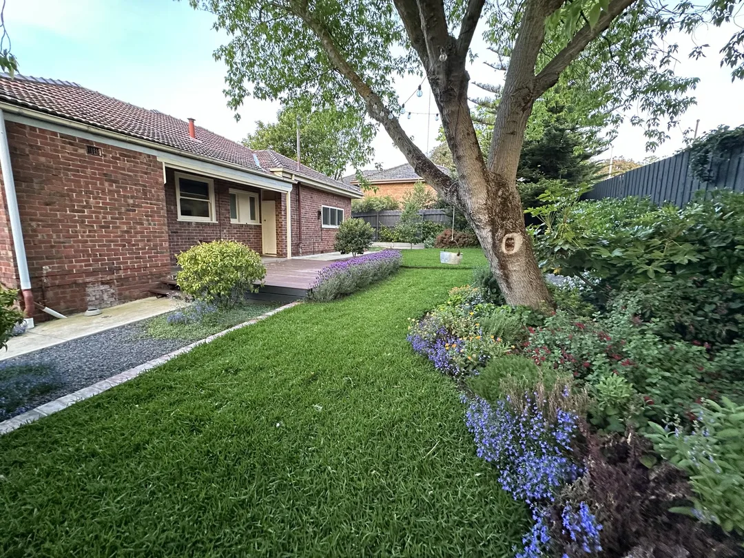 Backyard lawn beside a curved flowering garden bed and a large tree