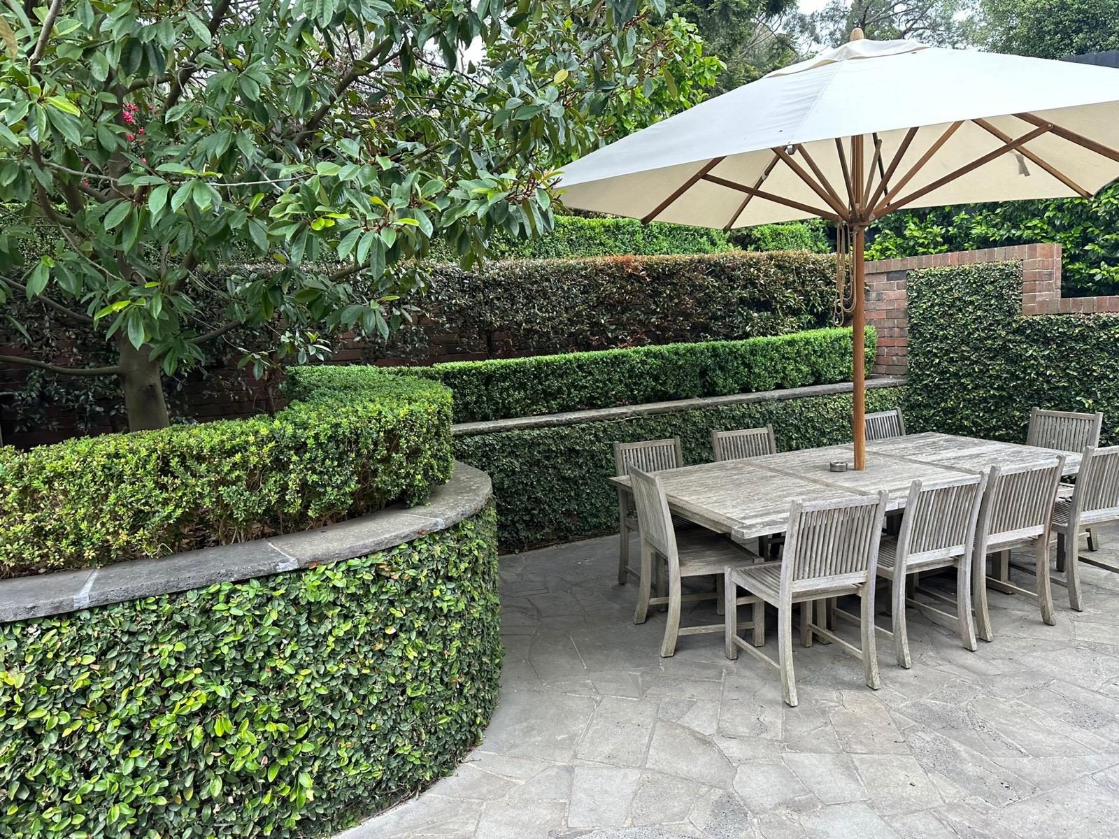 Outdoor dining area with umbrella set among curved clipped hedges