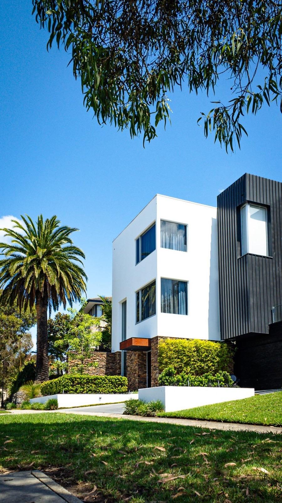Modern white home with landscaped frontage, mature palm and clipped hedging