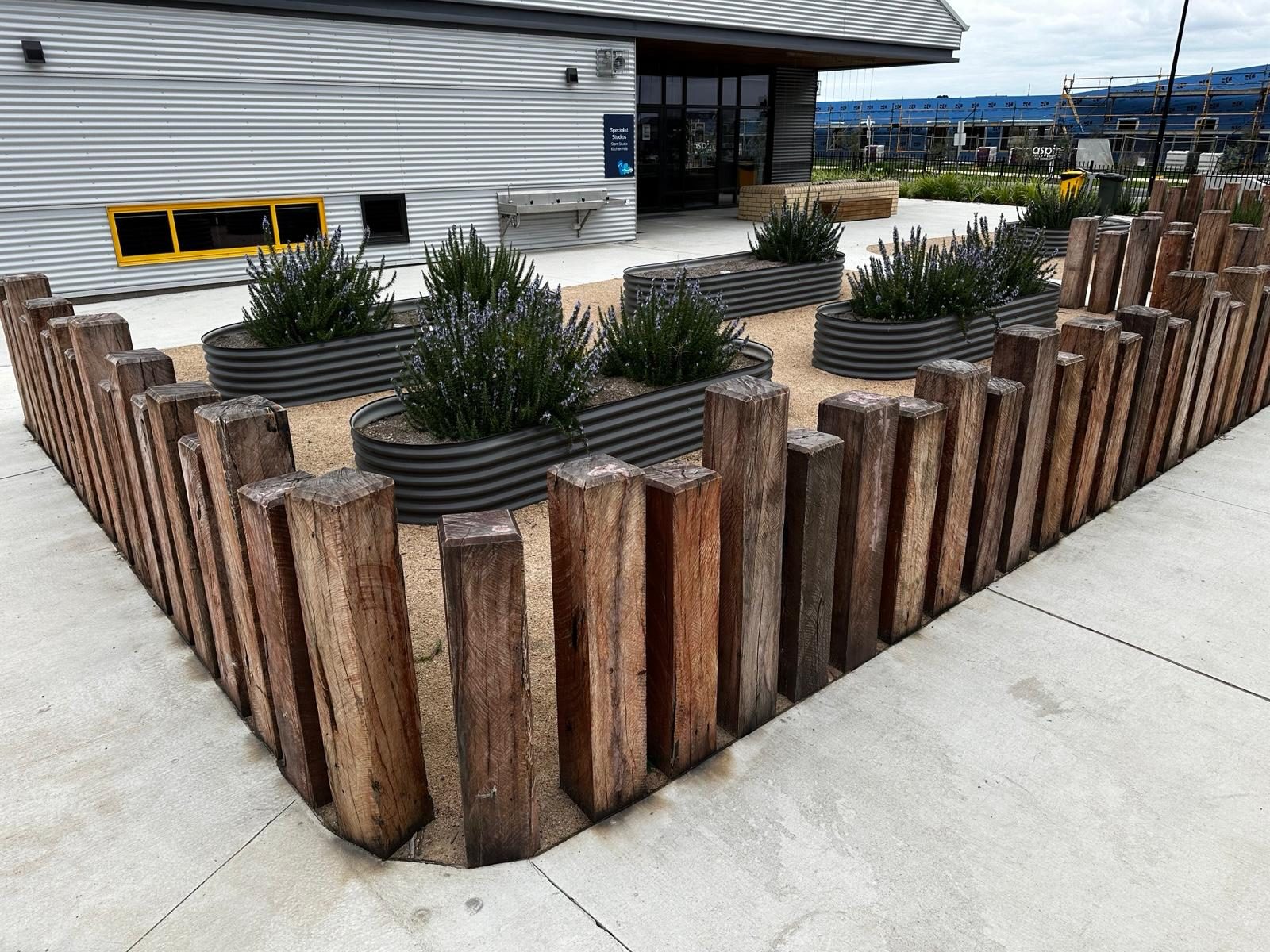 Raised corrugated planters with lavender behind a timber sleeper fence at a commercial site