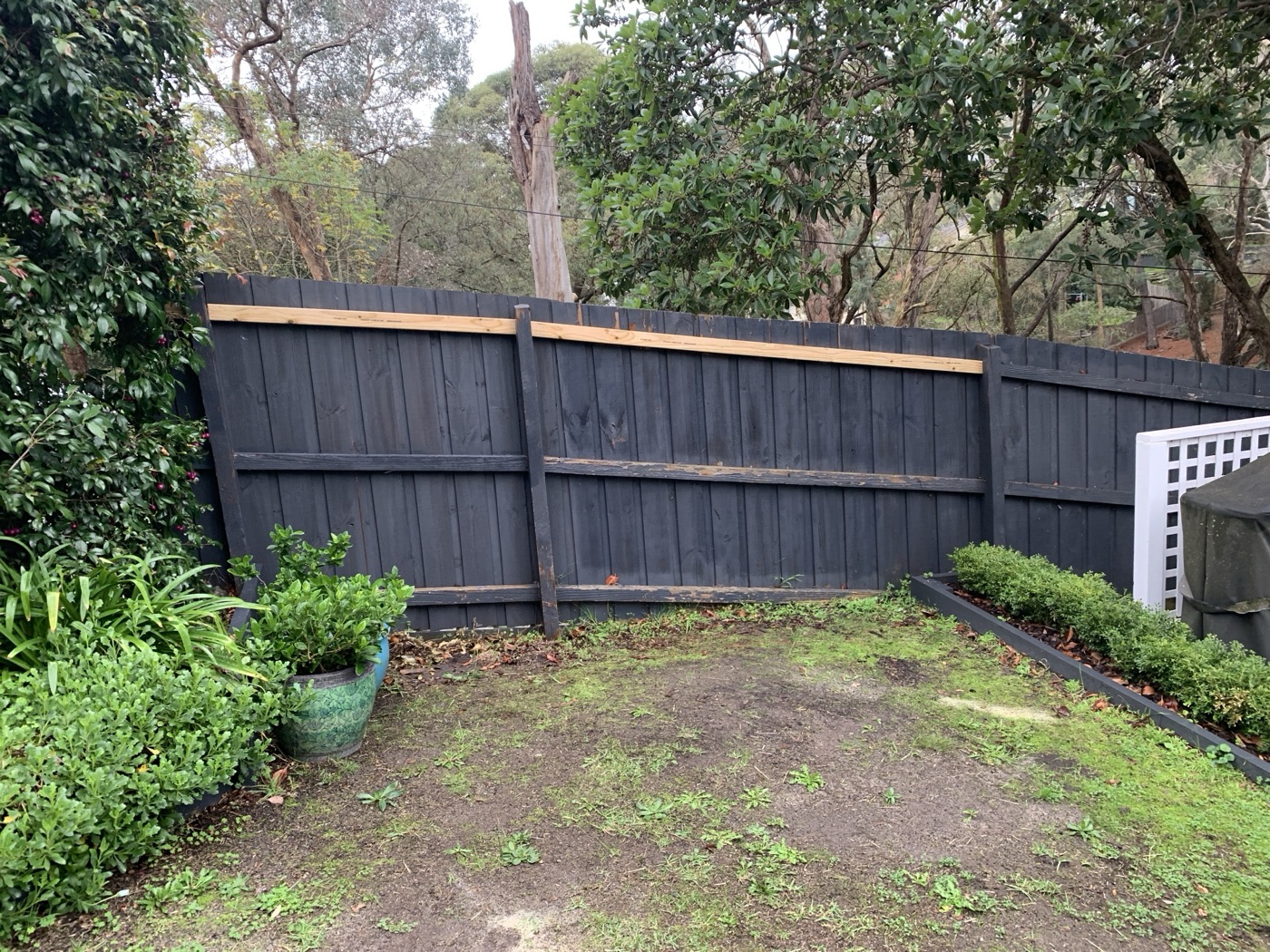 Fence repair and repaint by JT Handyman in Mitcham, VIC