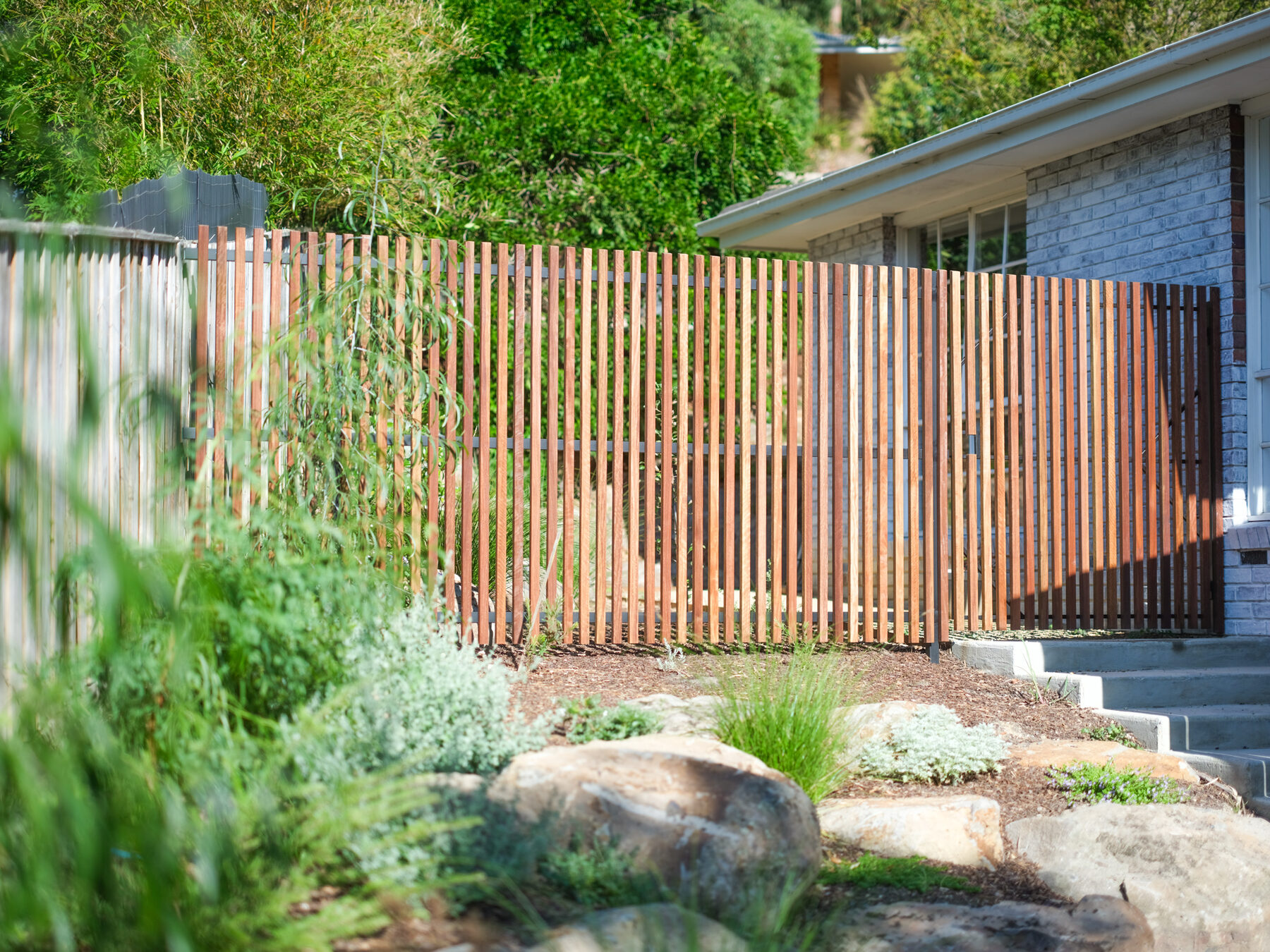 Hardwood slat fence and gate running alongside native garden beds