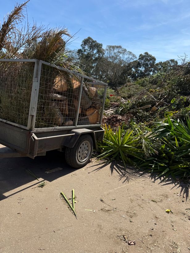 Trailer loaded with cut timber and palm fronds on a cleared site