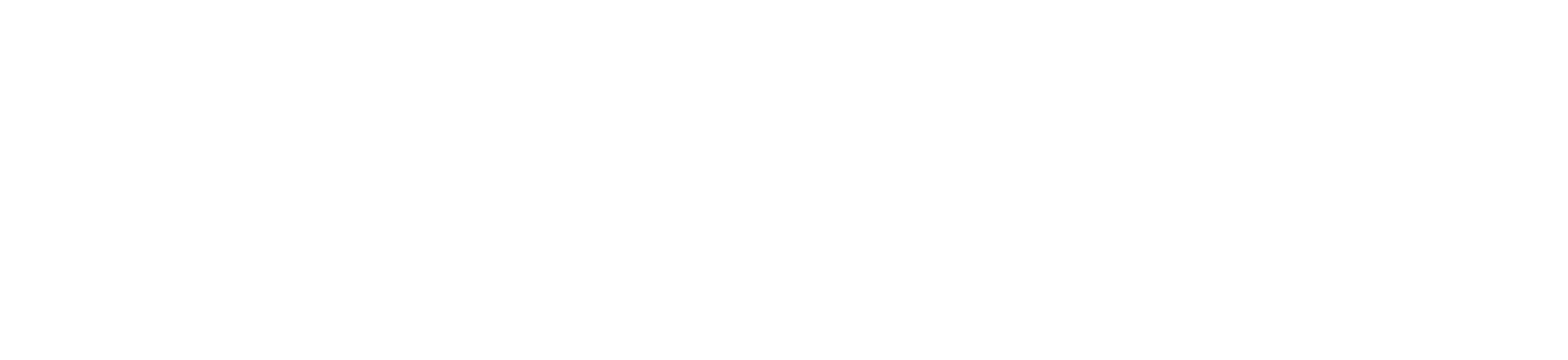 Jayden Sims signature wordmark