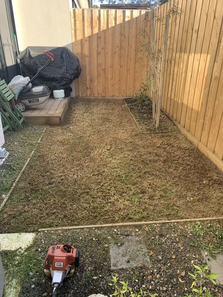 The same courtyard with the grass cut right back and the edges trimmed
