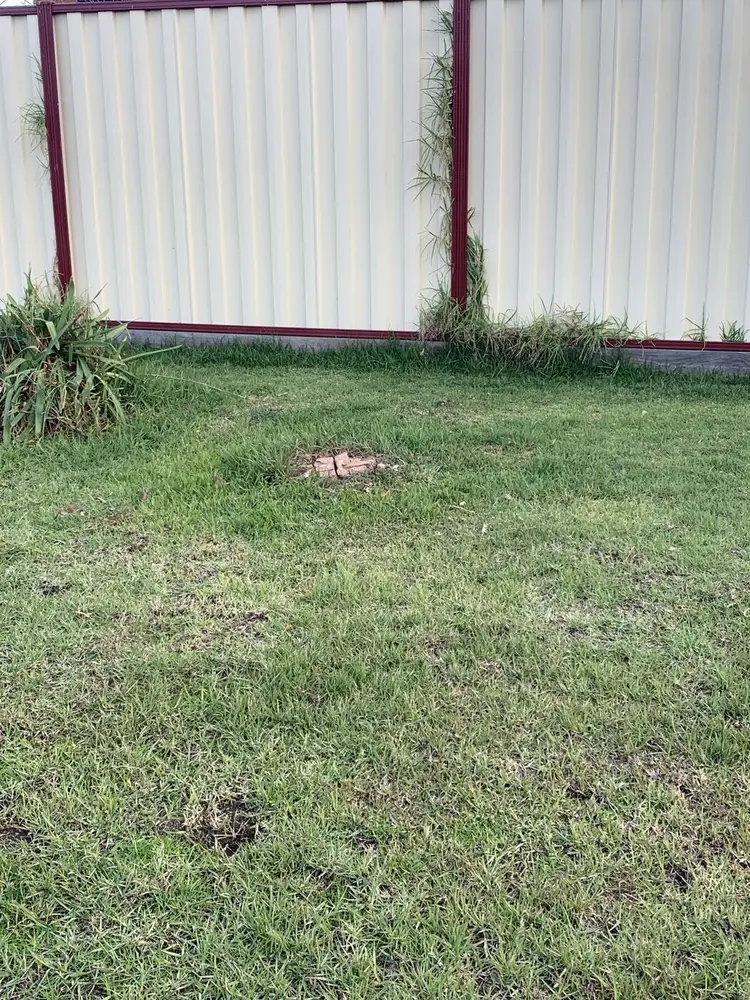 The same lawn with the tree and stump gone, ground back to grass level