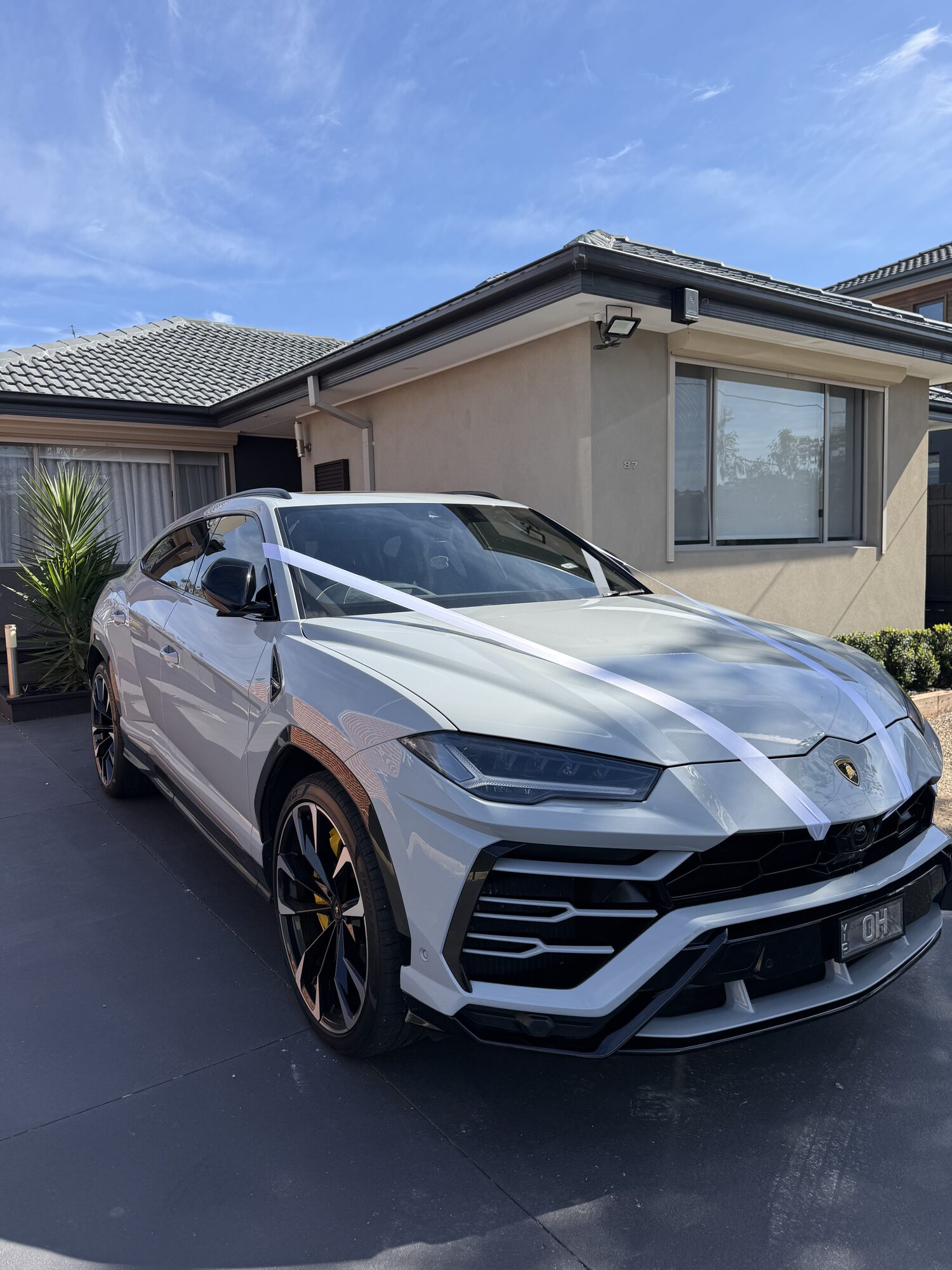 Lamborghini Urus S, view 3